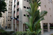 Blk 236 Bukit Panjang Ring Road (Bukit Panjang), HDB 4 Rooms #220892
